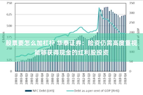 股票要怎么加杠杆 华泰证券：险资仍需高度重视能够获得现金的红利股投资