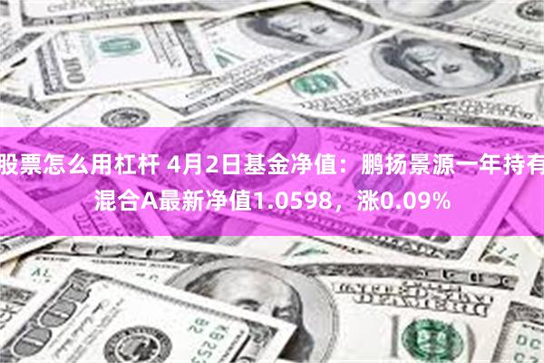股票怎么用杠杆 4月2日基金净值：鹏扬景源一年持有混合A最新净值1.0598，涨0.09%