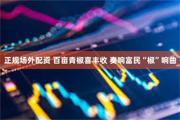 正规场外配资 百亩青椒喜丰收 奏响富民“椒”响曲