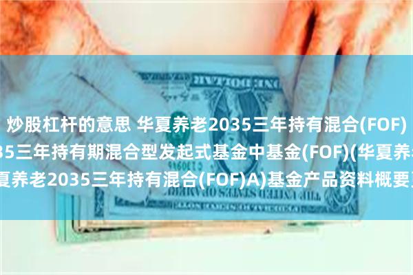 炒股杠杆的意思 华夏养老2035三年持有混合(FOF)A: 华夏养老目标日期2035三年持有期混合型发起式基金中基金(FOF)(华夏养老2035三年持有混合(FOF)A)基金产品资料概要更新(2025-05-30)