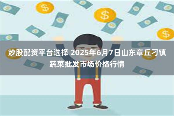炒股配资平台选择 2025年6月7日山东章丘刁镇蔬菜批发市场价格行情