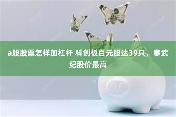 a股股票怎样加杠杆 科创板百元股达39只，寒武纪股价最高