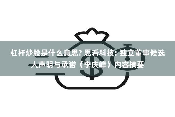 杠杆炒股是什么意思? 思看科技: 独立董事候选人声明与承诺（李庆峰）内容摘要