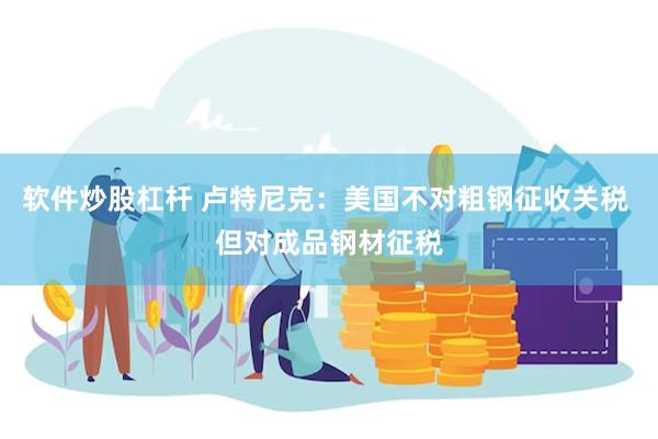 软件炒股杠杆 卢特尼克：美国不对粗钢征收关税 但对成品钢材征税