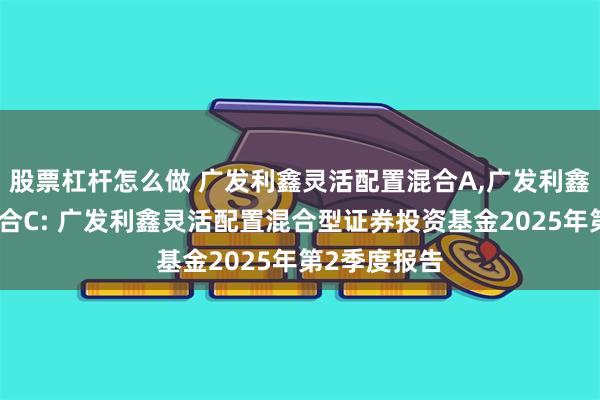股票杠杆怎么做 广发利鑫灵活配置混合A,广发利鑫灵活配置混合C: 广发利鑫灵活配置混合型证券投资基金2025年第2季度报告
