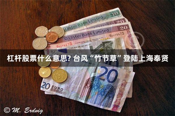 杠杆股票什么意思? 台风“竹节草”登陆上海奉贤